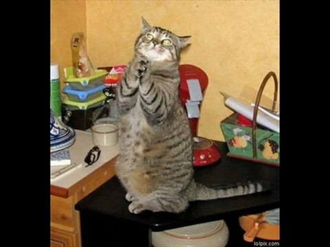 55 Led HDtv 1080P, Ezsign Black Friday Deals