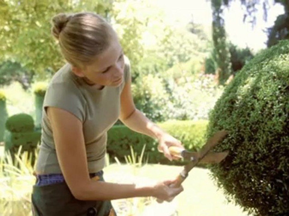 Usługi Ogrodnicze Łódź Chirurgia Drzew\rM. Kubacki, W. ...