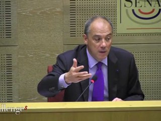 Stéphane Richard exaspéré par la fixation sur le contrat d'itinérance avec Free