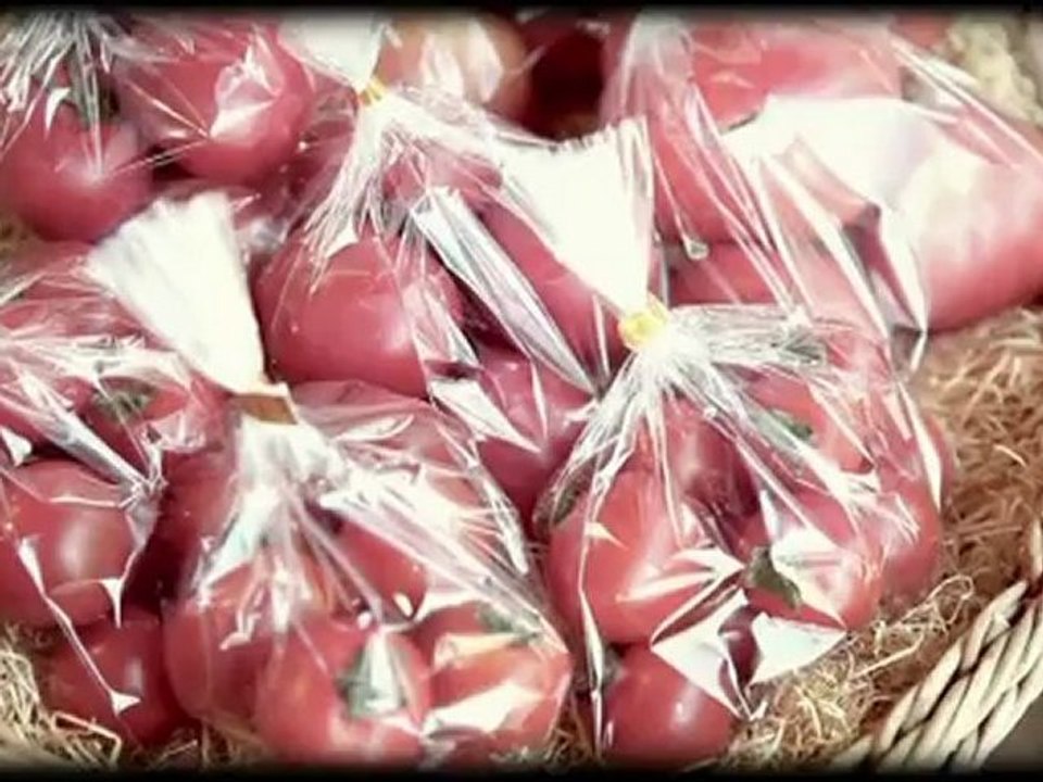 『エビ中の永遠に中学生（仮）』#16