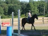 Travail au galop, Juillet 2012.