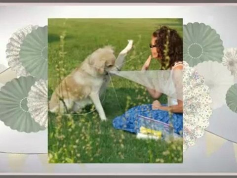 Clicker Training - Dog Training Tips