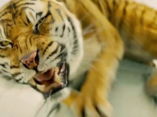 Director Ang Lee's Life of Pi 3D – Trailer