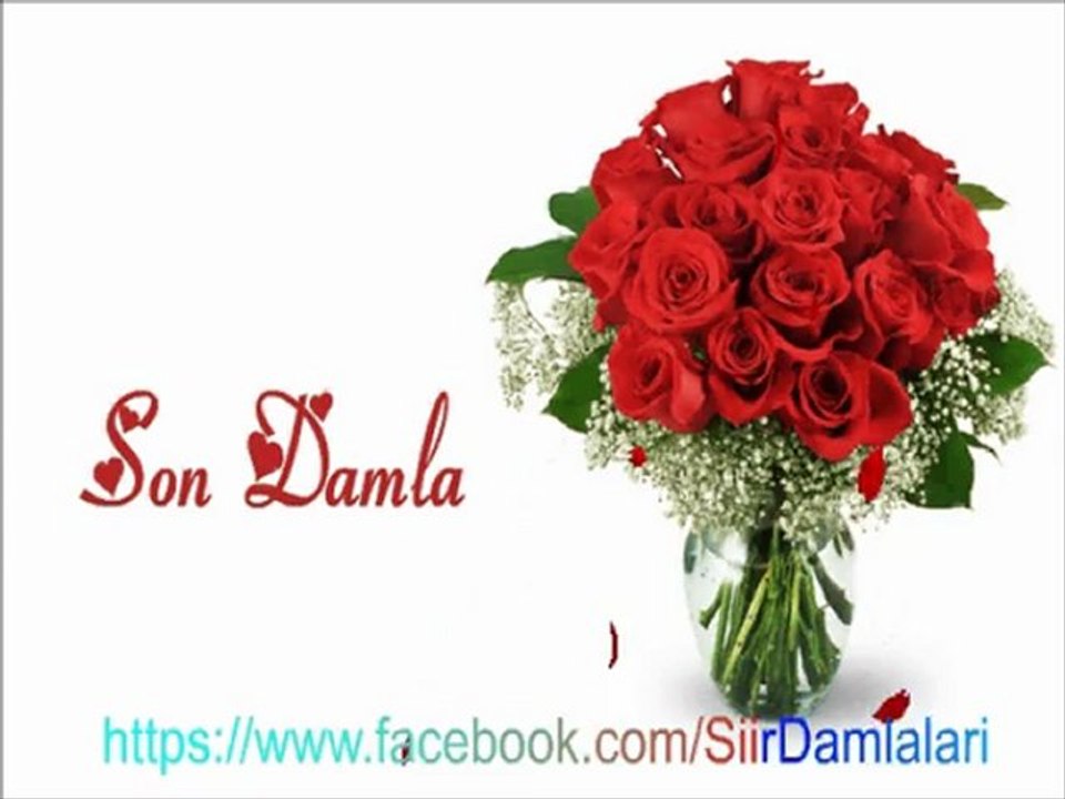 Son Damla