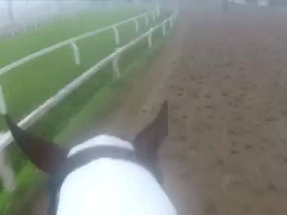 el campeon trabajando