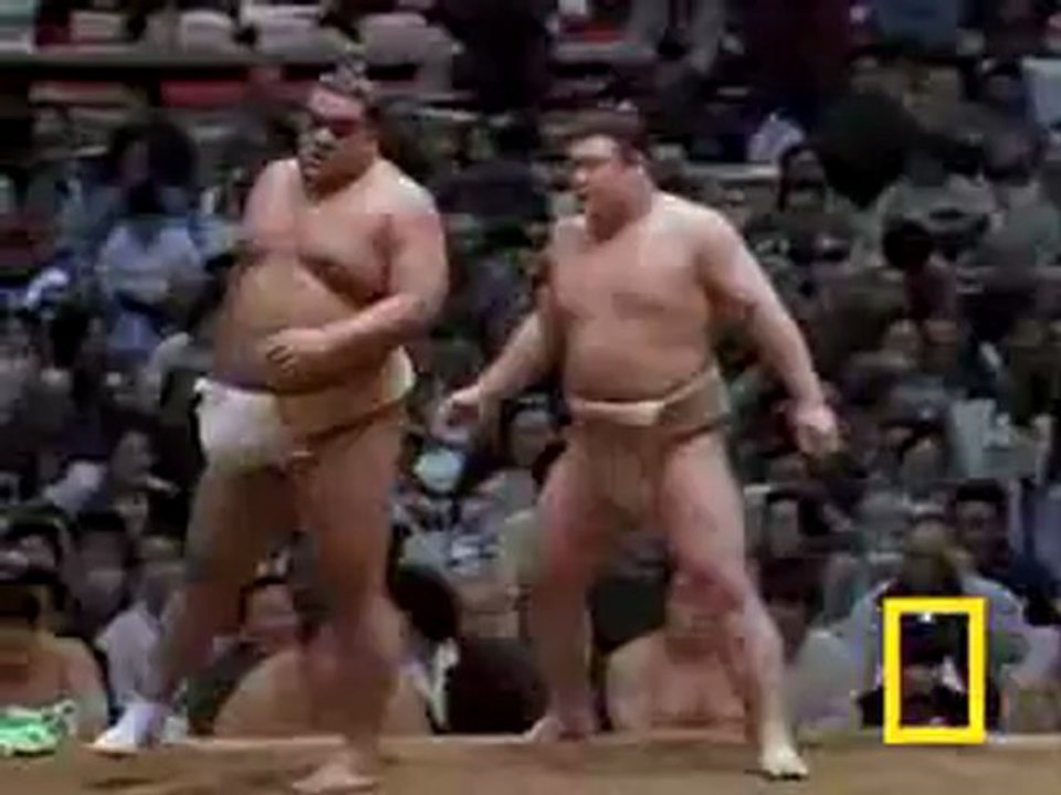 sumo1