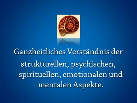 Kinesiologie-Ausbildung ApAmed-Fachschulen Ausbildung in Kinesiologie