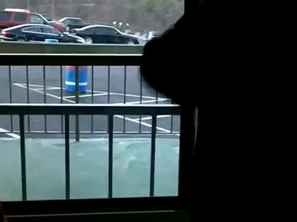 Had Fun On The Air Tram - Sarah had fun on the Ober Gatlinburg air tram. Travel. Small business.