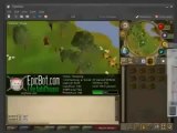 Runescape Epic BOT Cracked and Updated (Download)
