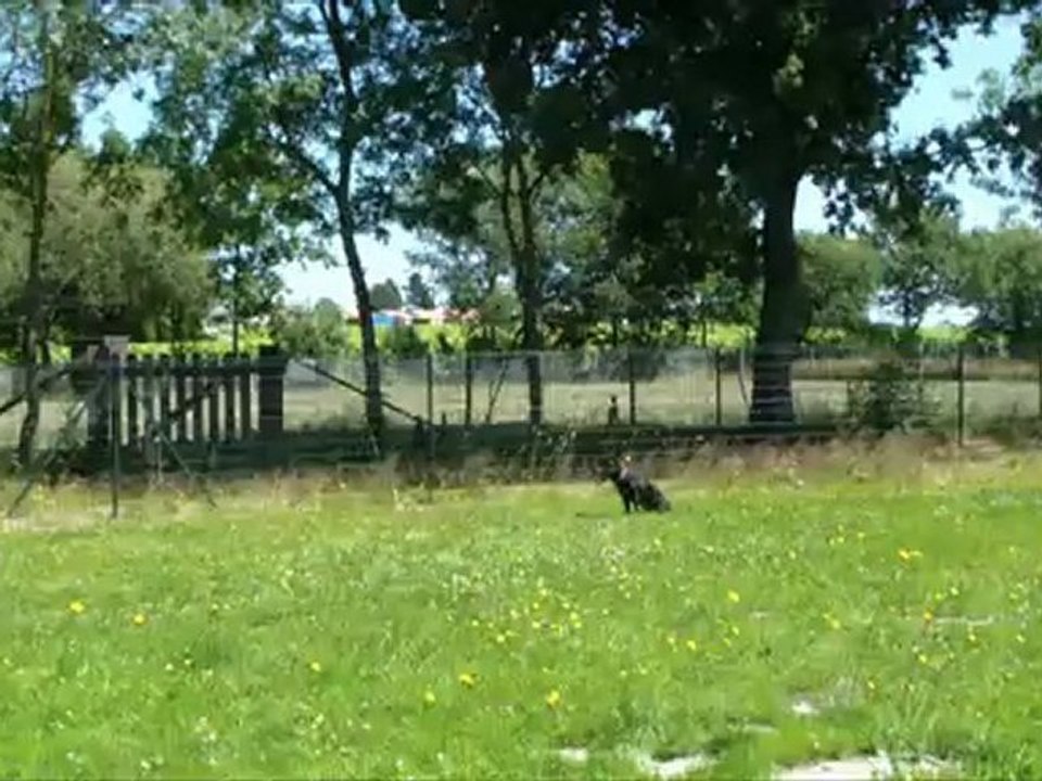 Vodka Running A-Frame 4th training