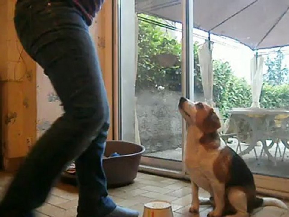 shapping 10 juin 12