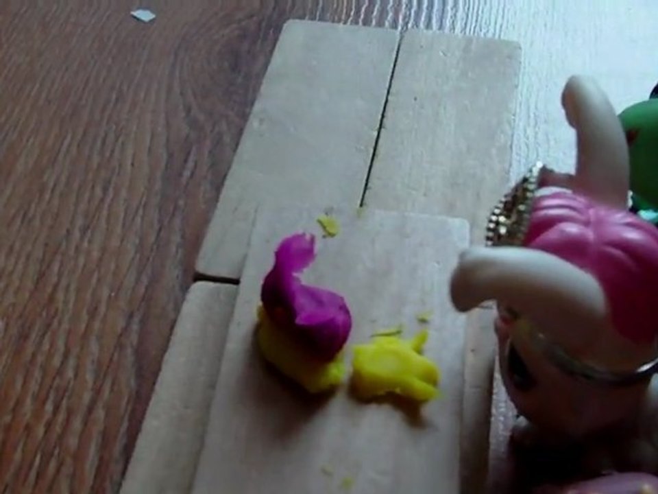 LPS : Miss Cook 2012 [partie 3]
