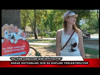 ANA HABER 18.07.2012