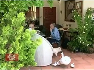 L'assassinat en France de Dulcie September, héroïne anti-apartheid