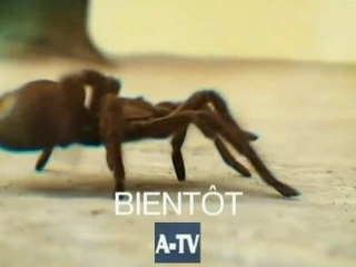 Fort Boyard Le Bestologue - Teaser " - Version 1