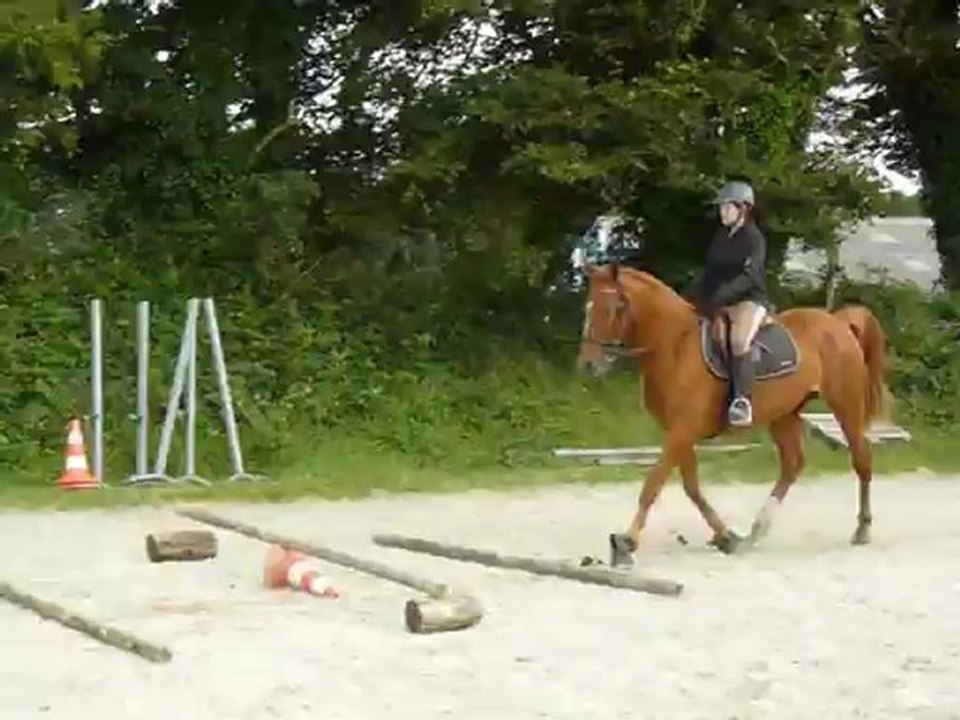 barre de trot au galop