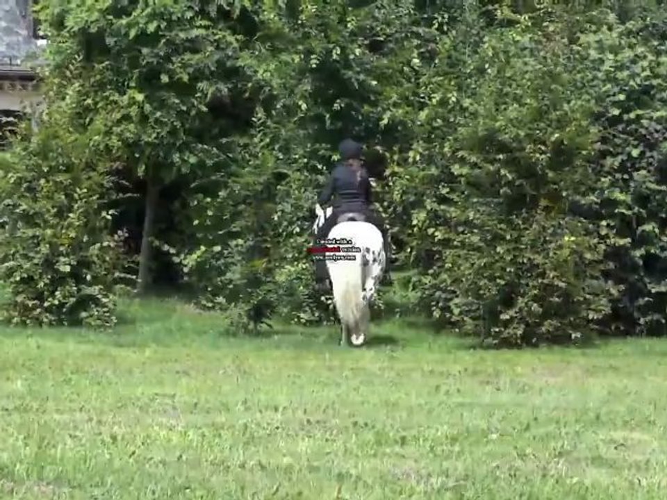 Qualification Loisir Puck "sans mors, sans fer, sans arçon" 1ère partie