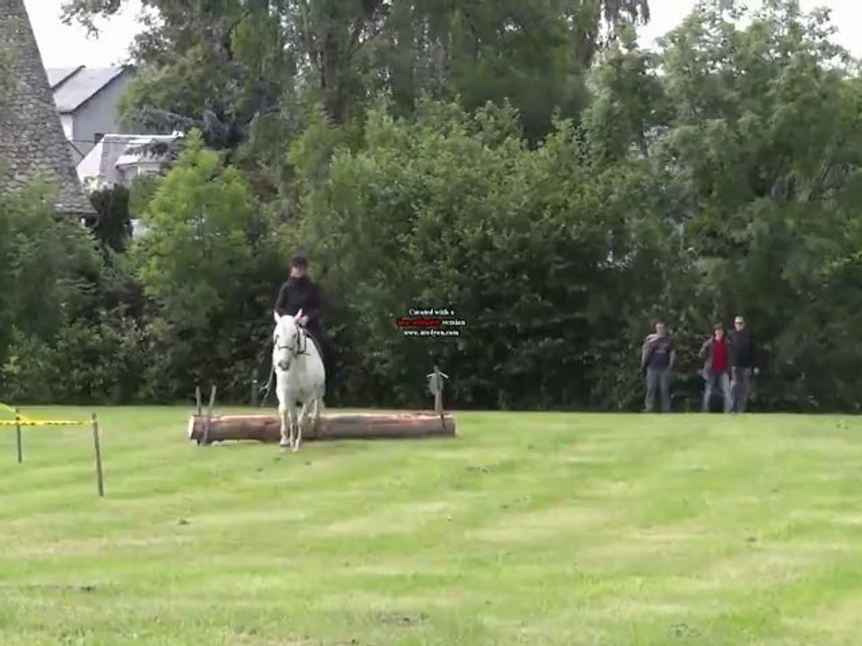 Qualification Loisir Puck "sans mors, sans fer, sans arçon" 2e partie