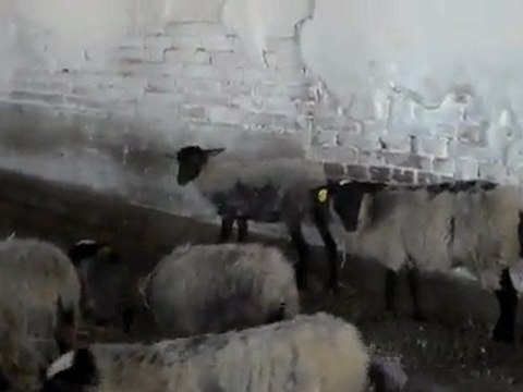 DAMIZLIK SATILIK ROMANOV HAZER EMLAK TEL: 0546 851 6657