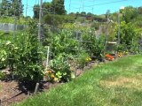 Gardener Uses Trowel to Ward Off Robbers