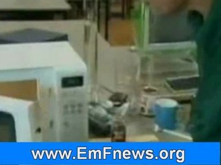 Cell Phones Tower Radiation Is a Source of Stress