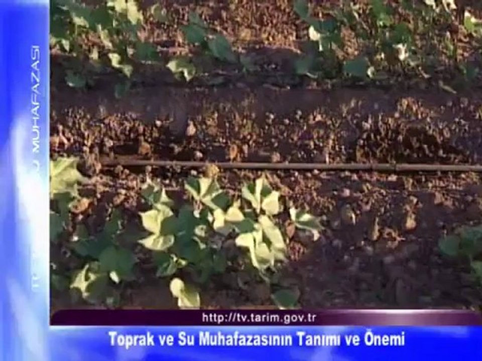 Toprak ve Su Muhafazası