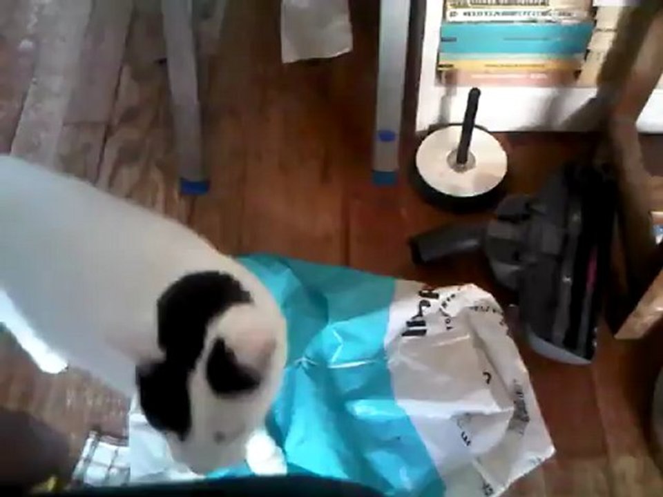 Stan en vadrouille