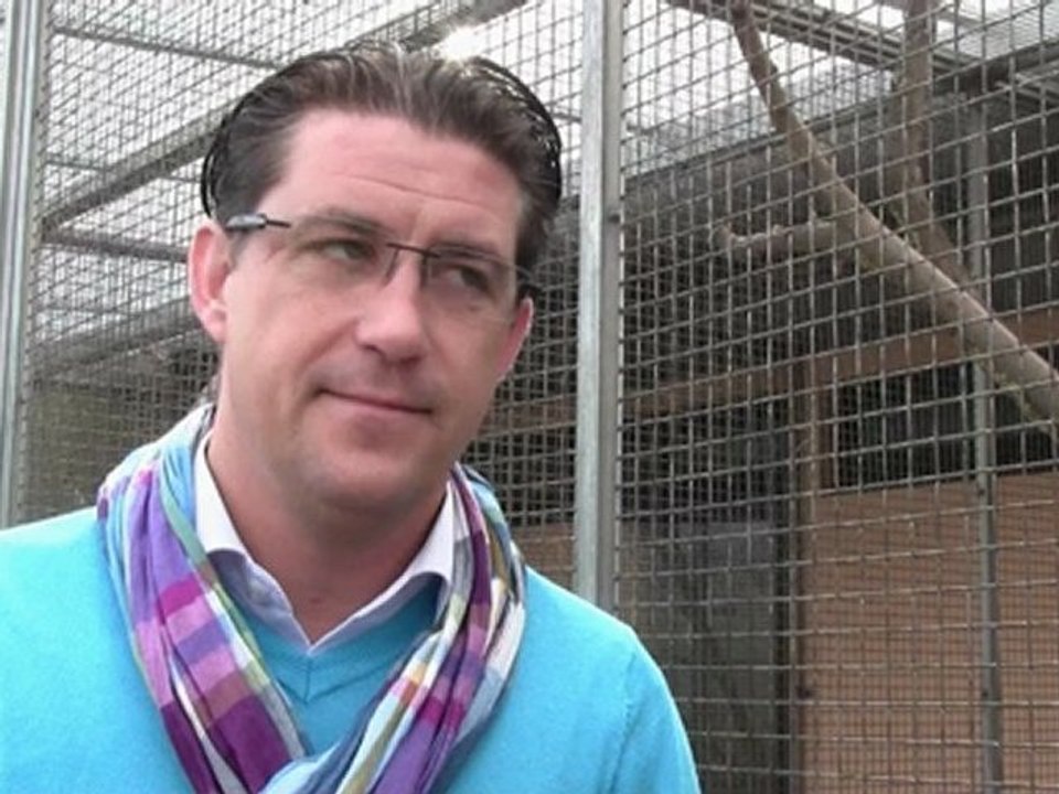 Une carte à chat pour éviter la carte à puce