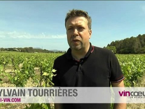 Midi-Vin.com : e-commerce vins du Languedoc Roussillon