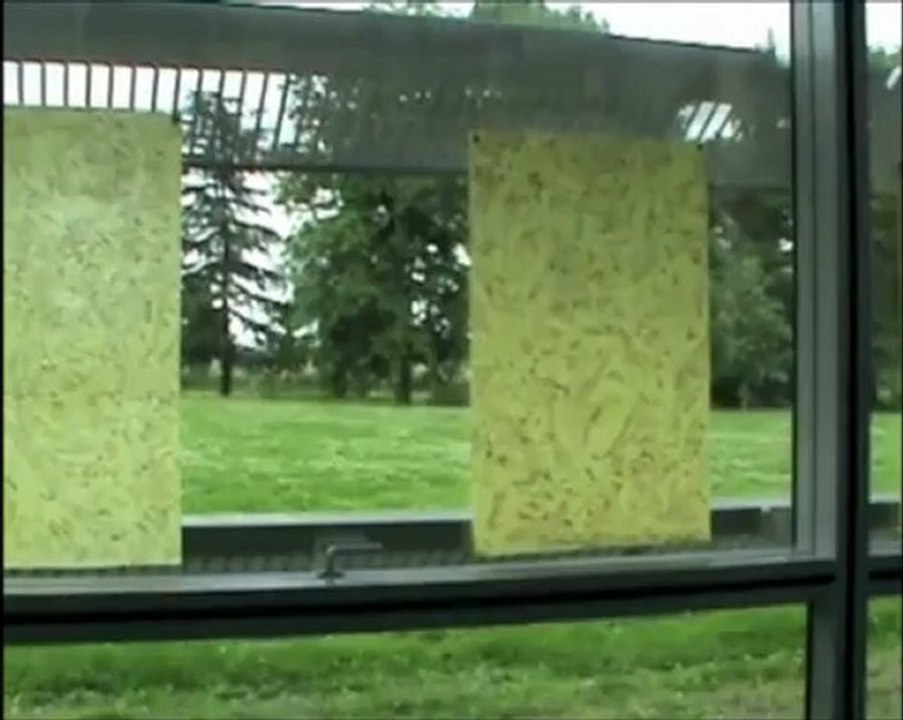 Shirley Carcassonne - Exposition au CEA Saclay