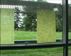 Shirley Carcassonne - Exposition au CEA Saclay