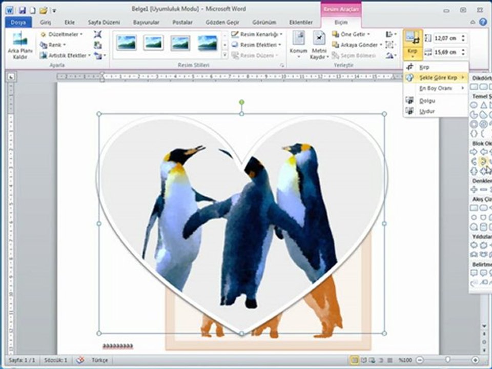 Word Resim ve Şekil Ekleme-Düzenleme