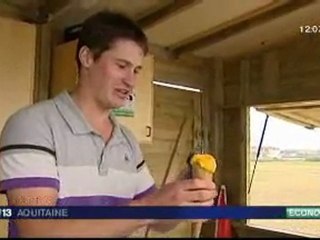 Le bon goût de la glace au lait frais du Pays Basque