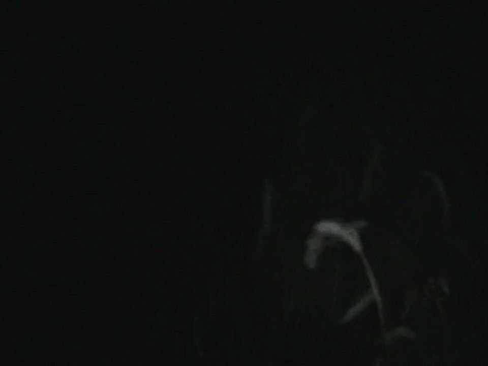 Soirée 02