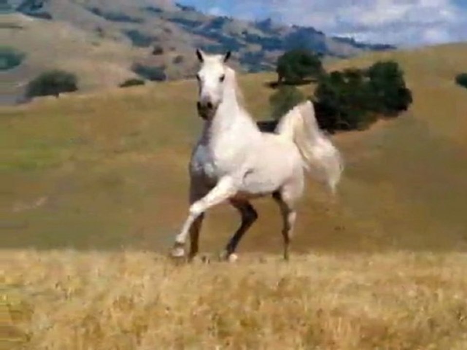 HİKMET PEKER 2012 TEMMUZ