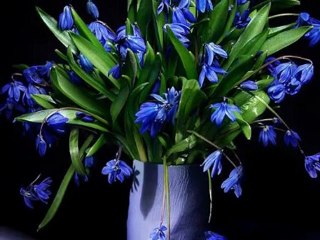 Aria di festa Rondo Veneziano