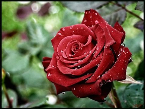 hasretimyare.com .com MuRaT.!! Devran Çağlar- Can Veriyorum vuslat girdap - YouTube