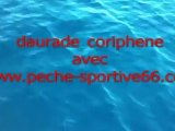 saint cyprien pêche en mer avec peche sportive 66