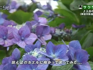 saku saku (20120720-0730 ｔｖｋ)-03