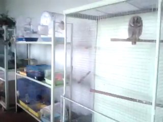 Порно ролик. Охуенные ножки *_*