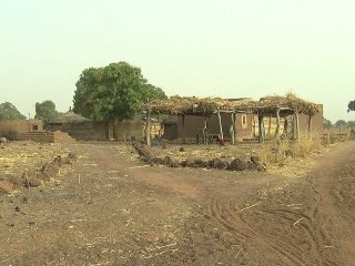 Les semences prennent le maquis, bande annonce