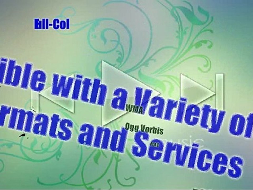 SanDisk Sansa Clip Zip 4 GB MP3 Player SDMX22-004G-A57K