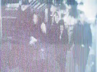 Dot KIM: Panie Prezydencie