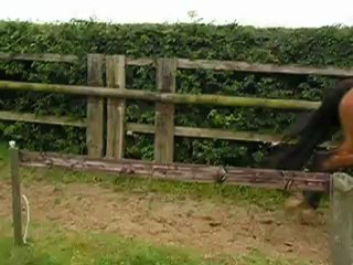 PICT0009 Utto de ribaudière