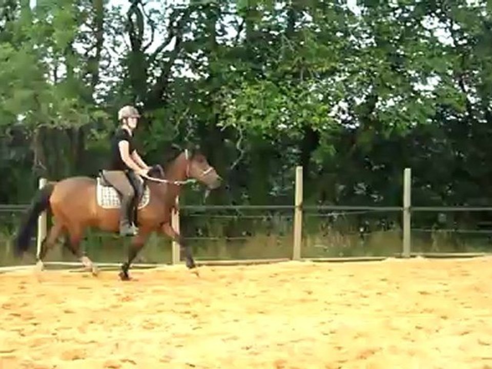 Saut avec Quazac en licol étho