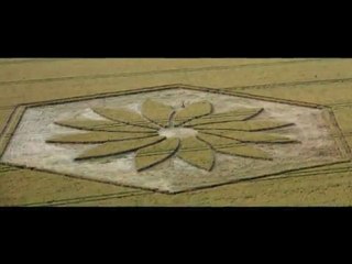 Merveilleux Crop Circle ~  17 Juillet 2012 ~ GB