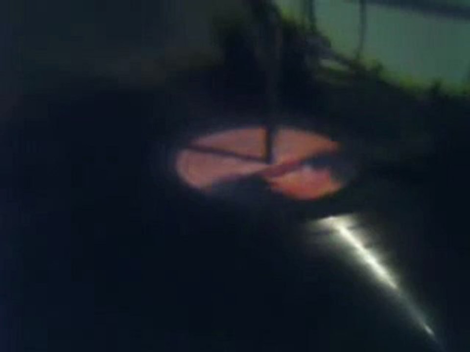 Paulina Ayala - Te quiero tanto - 33 1/3 rpm