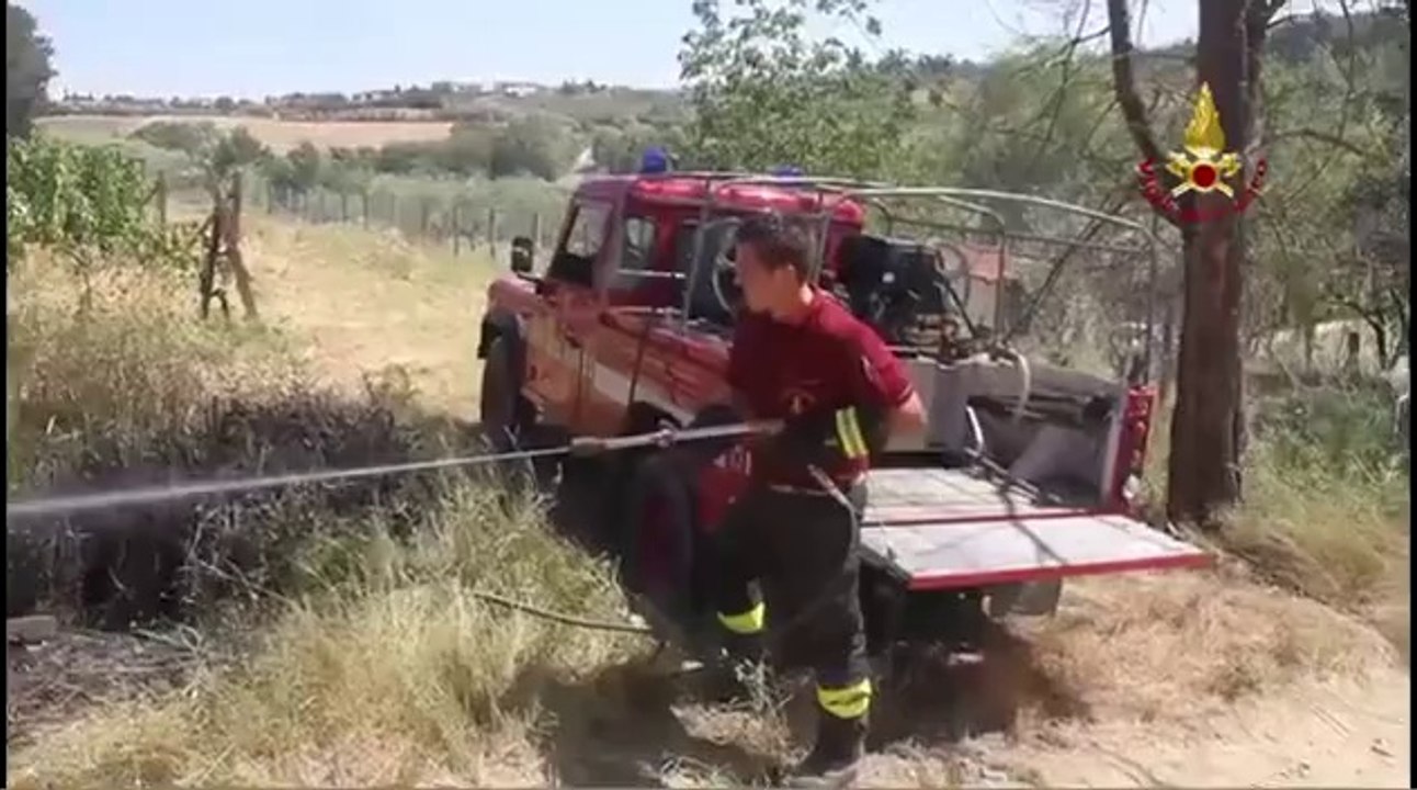 Firenze - Incendio sterpaglie Montespertoli 1 (19.07.12)