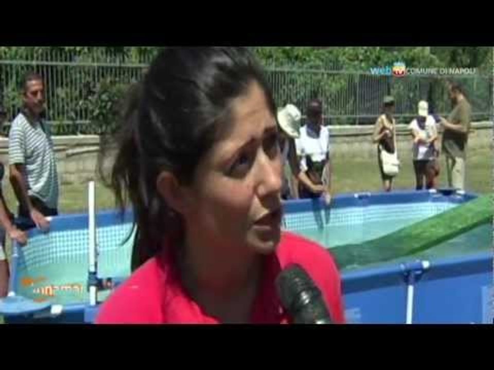 Napoli - Iniziative contro l'abbandono estivo dei cani (17.07.12)