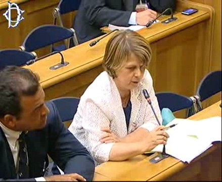 Pina Picierno - Presentazione proposta di legge (17.07.12)